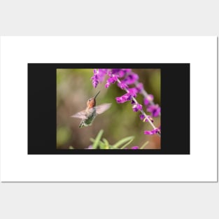 Hummingbird and Flowers Posters and Art